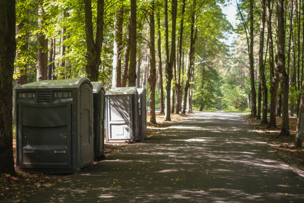 Best Local porta potty services  in Lake Mills, IA